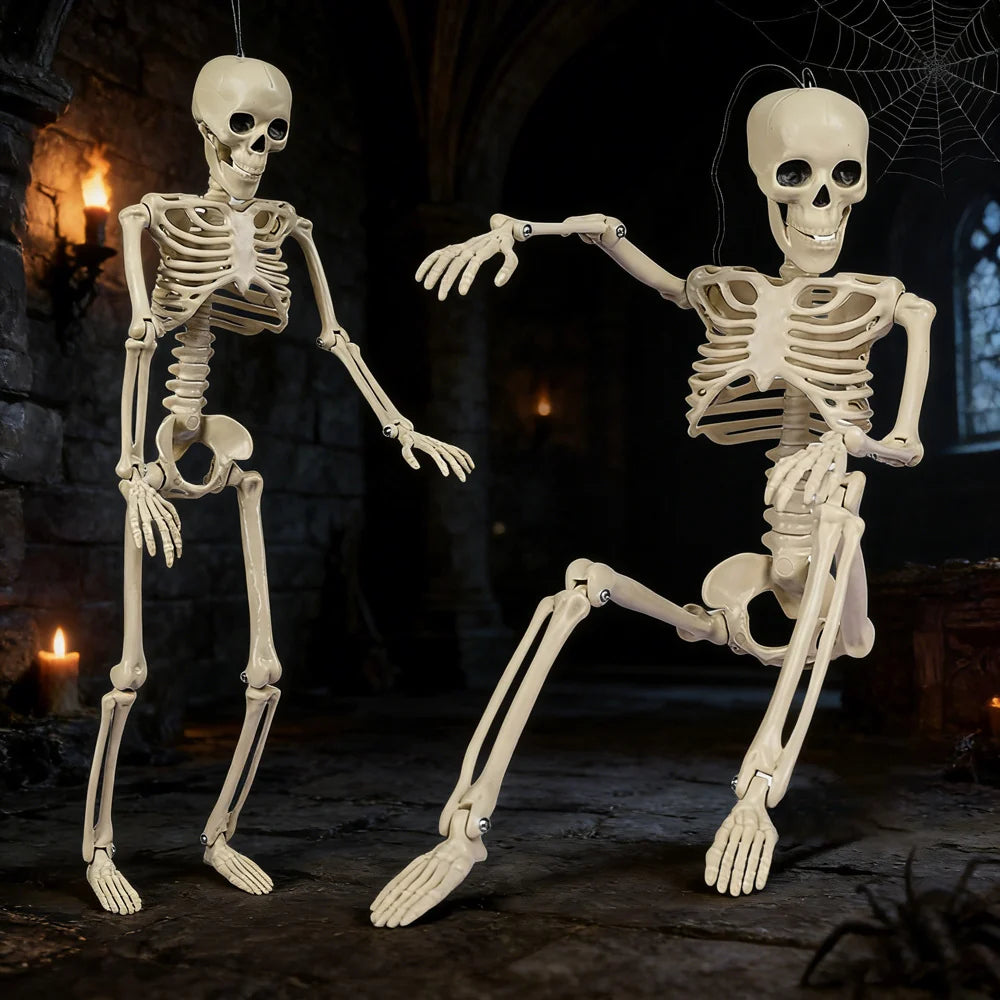 Skeleton Figure Realistic Fully Posable Articulated Joints