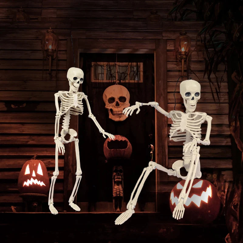 Skeleton Figure Realistic Fully Posable Articulated Joints