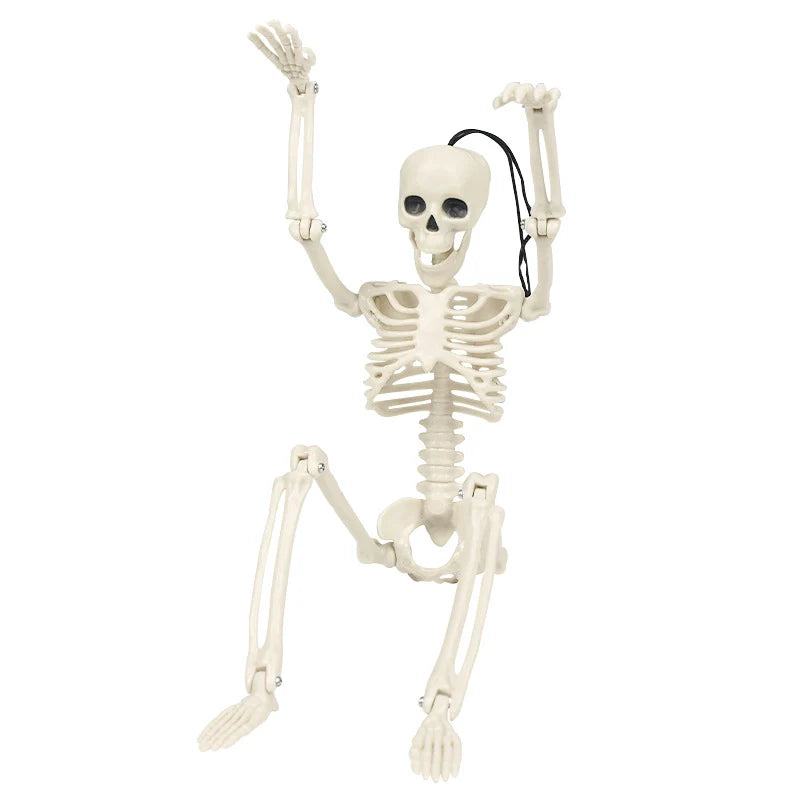 Skeleton Figure Realistic Fully Posable Articulated Joints