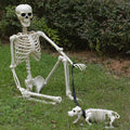 Skeleton Figurine Set Dog & Human Realistic Lightweight