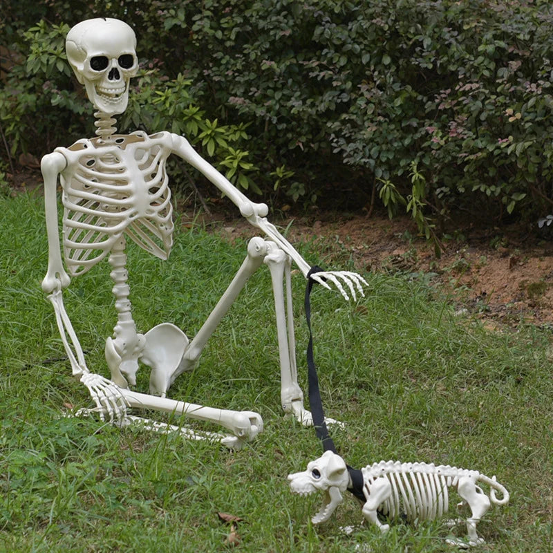 Skeleton Figurine Set Dog & Human Realistic Lightweight