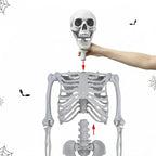 Skeleton Life-Size Poseable Movable Jaw