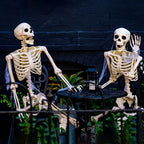 Skeleton Life-Size Poseable Weather-Resistant