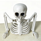 Skeleton Life-Size Poseable Weather-Resistant
