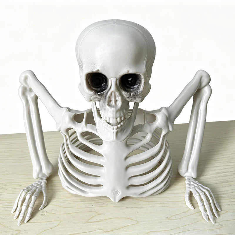 Skeleton Life-Size Poseable Weather-Resistant