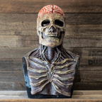 Skeleton Mask Realistic Movable Jaw Stretchable Latex