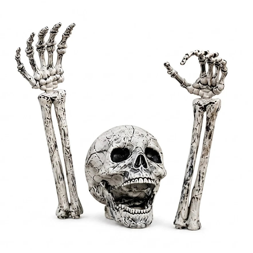 Skeleton Stakes Realistic Weathered Bone Tool-Free Set of 3