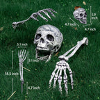 Skeleton Stakes Realistic Weathered Bone Tool-Free Set of 3