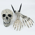 Skull Decoration Life-Size & Weather-Resistant