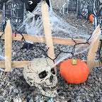 Skull Decoration Life-Size & Weather-Resistant