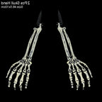 Skull Decoration Life-Size & Weather-Resistant