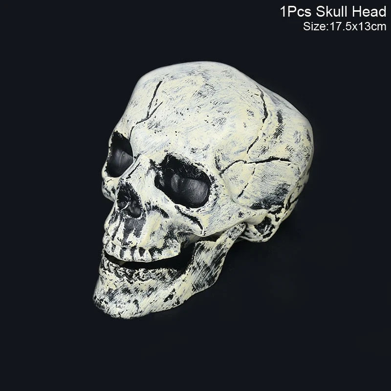 Skull Decoration Life-Size & Weather-Resistant
