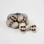Skull Decorations Realistic Molded Plastic Set of 10