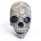 Skull Mask Articulated Jaw Aged Bone Finish