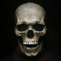 Skull Mask Full-Head Movable Jaw Hand-Painted