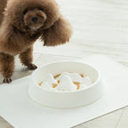 Slow Feeder Bowl For Cats & Dogs Mountain-Shaped Interior
