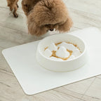 Slow Feeder Bowl For Cats & Dogs Mountain-Shaped Interior