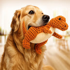 Small Dog Toy Chew-Resistant Plush Squeaker