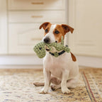 Small Dog Toy Chew-Resistant Plush Squeaker