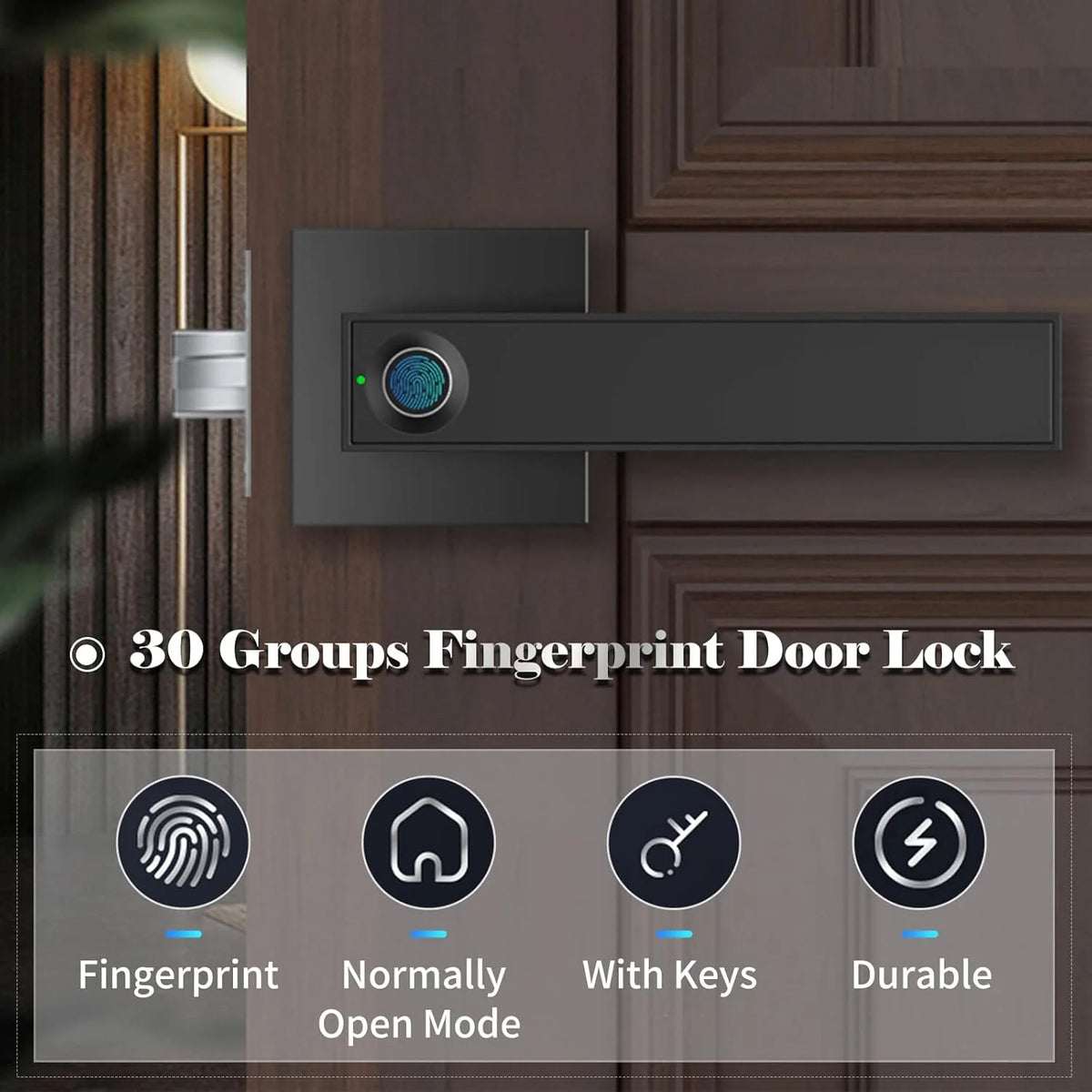 Smart Door Lock Fingerprint & Key 30 Users