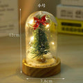 Snow Globe LED-Lit Glass Dome Wooden Base