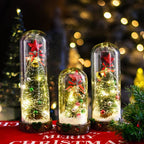 Snow Globe LED-Lit Glass Dome Wooden Base