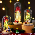 Snow Globe LED-Lit Glass Dome Wooden Base