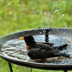 Solar Fountain Solar-Powered 7 Spray Patterns & LED Lights