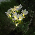 Solar Garden Flower Lights Bendable Stem 10-Hour