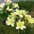 Solar Garden Flower Lights Bendable Stem 10-Hour