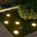 Solar Garden Light Paw Print Auto Dusk Sensor Weather-Resistant