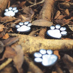 Solar Garden Light Paw Print Auto Dusk Sensor Weather-Resistant
