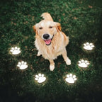 Solar Garden Light Paw Print Auto Dusk Sensor Weather-Resistant