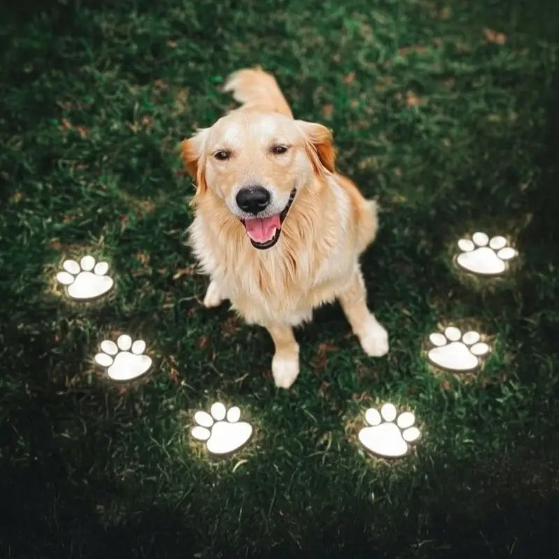 Solar Garden Light Paw Print Auto Dusk Sensor Weather-Resistant