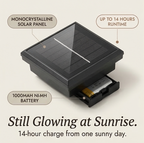 Solar Pathway Lights Filament LED Warm Glow