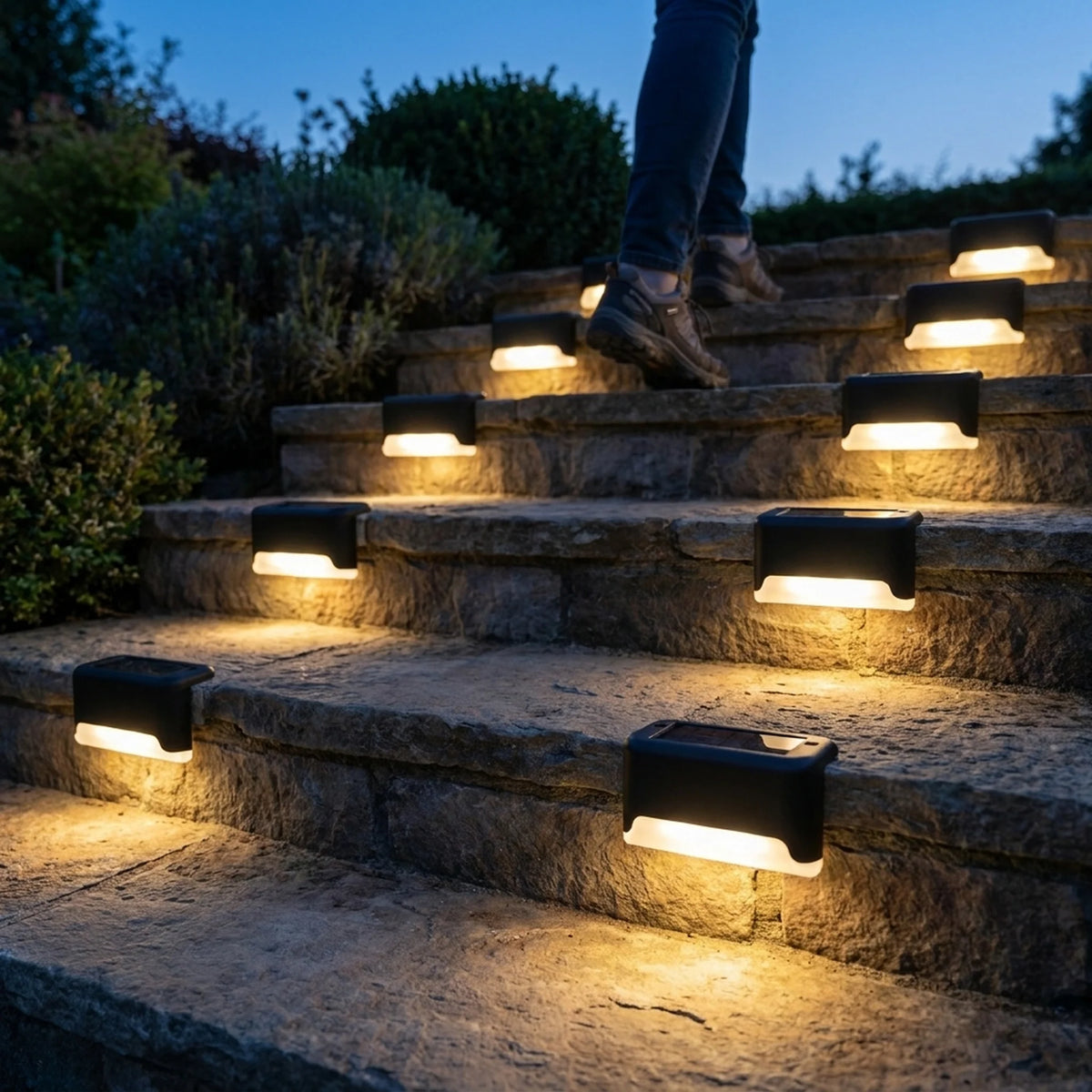 Solar Step Lights Dusk-to-Dawn Set of 8