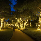 Solar String Lights LED Copper Wire Waterproof