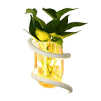 Space-Saving Dual-Function Weather-Resistant Wall Vase Lamp (Indoor/Outdoor)