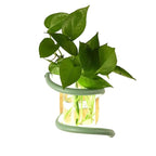 Space-Saving Dual-Function Weather-Resistant Wall Vase Lamp (Indoor/Outdoor)