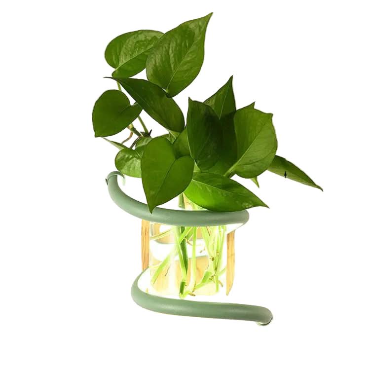 Space-Saving Dual-Function Weather-Resistant Wall Vase Lamp (Indoor/Outdoor)