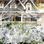 Spider Web Decoration 200 Sq Ft Includes Nine Spiders