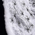 Spider Web Decoration Realistic Stretchable Reusable