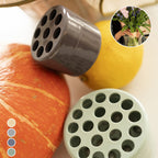 Spiral Grid Waterproof & Reusable Flower Stem Holder