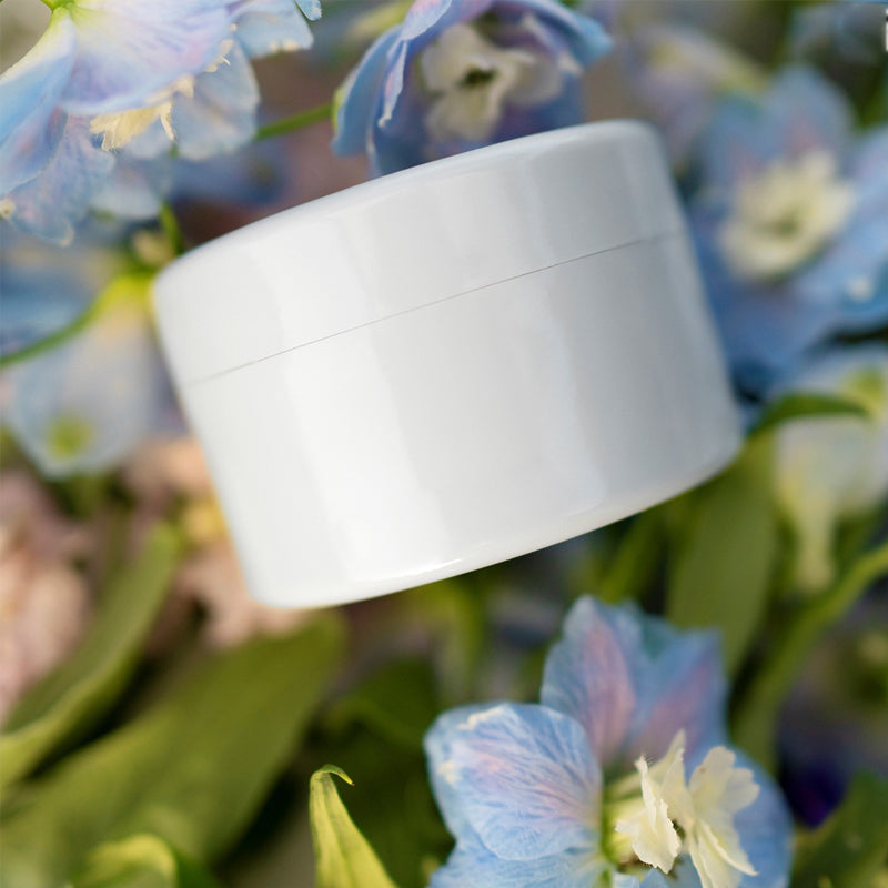 Spiral Grid Waterproof & Reusable Flower Stem Holder