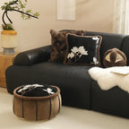 Square Cushion Cover Velvet Embroidered Magnolia Faux Fur 45x45