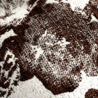 Square Cushion Cover Velvet-Like Raised Chenille Flower Concealed Zipper