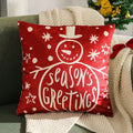 Square Throw Pillow Cover Velvet Screenprint Machine Washable