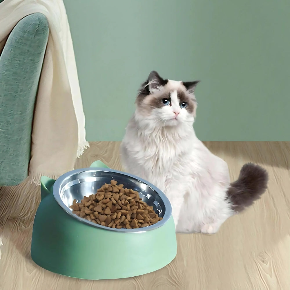 Stainless Steel 15° Tilted Cat Bowl (Non-Slip Base)