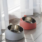 Stainless Steel 15° Tilted Cat Bowl (Non-Slip Base)