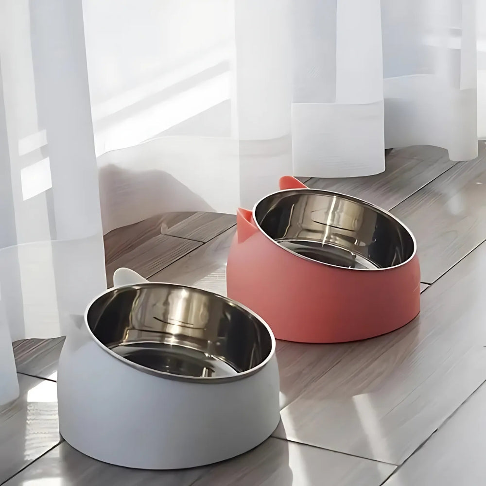 Stainless Steel 15° Tilted Cat Bowl (Non-Slip Base)